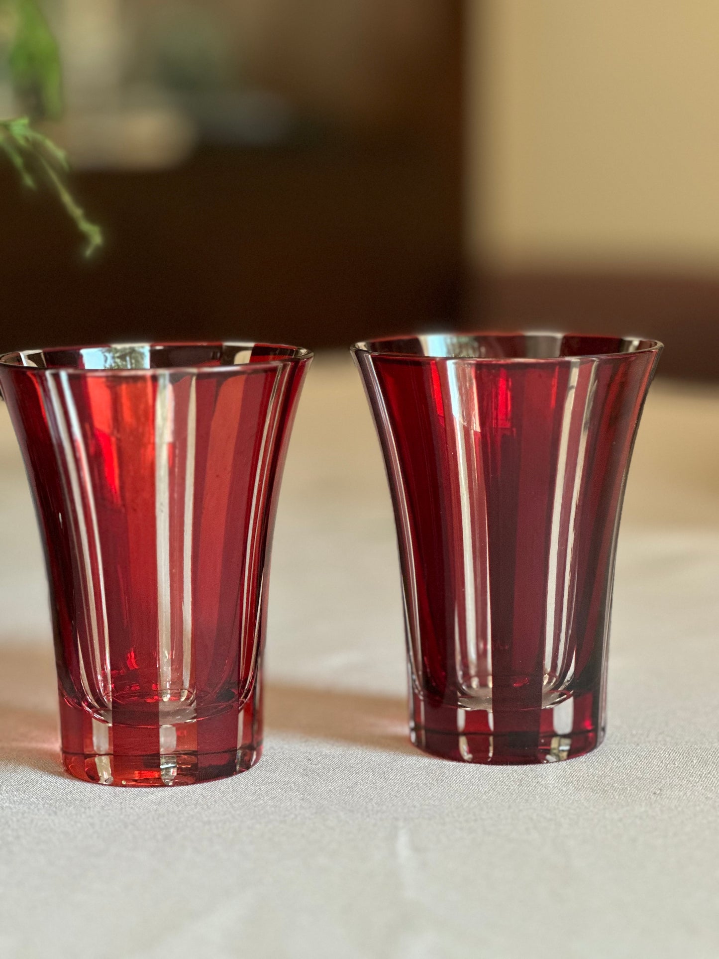 VASO DE AGUA ROJO