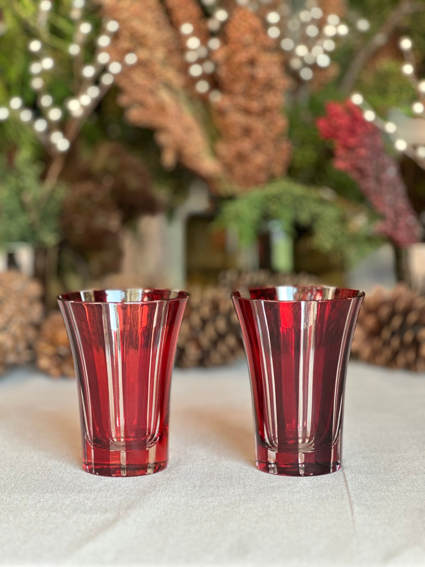 VASO DE AGUA ROJO