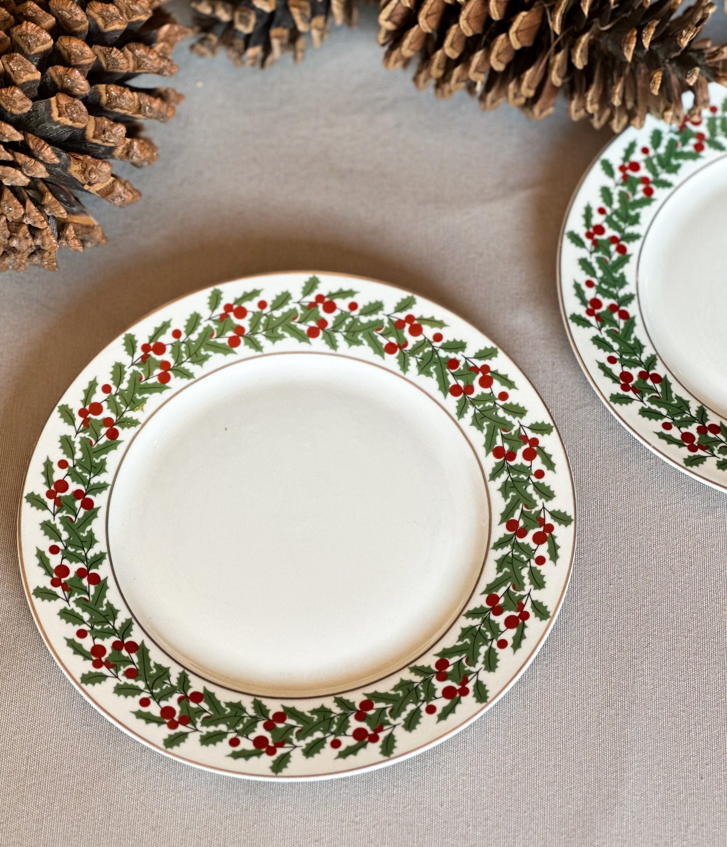 PLATO DE GUIRNALDANAVIDEÑO