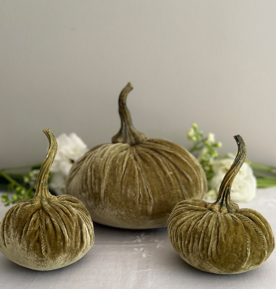 CALABAZAS TERCIOPELO GRANDE